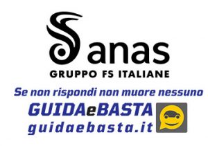 logo anas