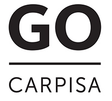 logo carpisa